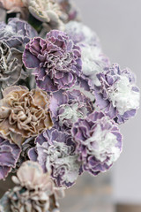 Bouquet of carnation flowers unusual color. Spring background. Clove bunch present for Mothers Day.