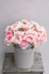 Ranunculus asiaticus or Persian Buttercup. Bunch of pastel pink blossom . Light gray background, metal vase. Wallpaper, flowers texture