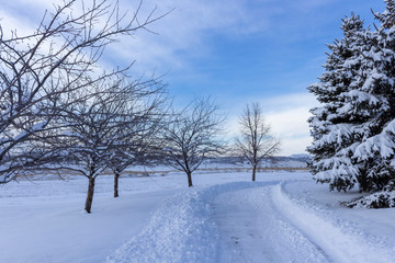 Fototapeta na wymiar Snowy Sidewalk at Dusk