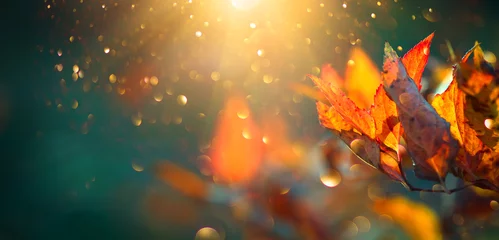 Fotobehang Herfst kleurrijke heldere bladeren slingeren in een boom in herfst park. Herfst kleurrijke achtergrond, herfst achtergrond © Subbotina Anna