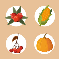 Set of thanksgiving food