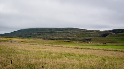 Obraz premium landscape with green field and cloudy sky