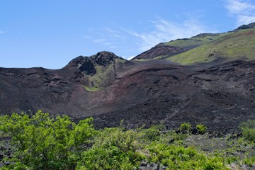 Haleakala Hillside
