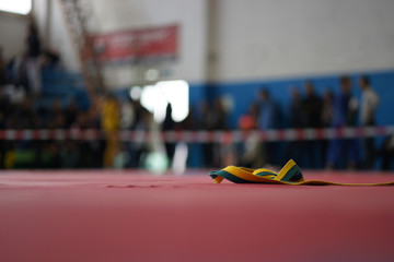 BJJ Belt on the Tatami