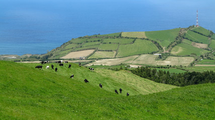 Fototapeta na wymiar Landscape nos Açores