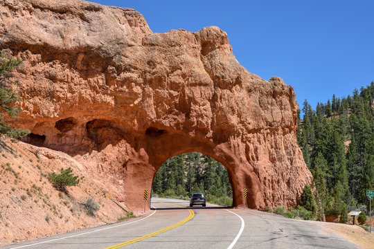 Bert photos, images, assets | Adobe Stock