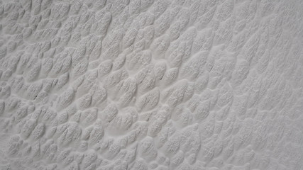 Dust on the wall skin texture and texture detail of surface is identity background