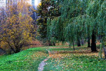 Fototapeta na wymiar Autumn forest or public park. Footpath or walking place. Selective focus, place for text.