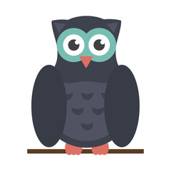 Owl bird cartoon