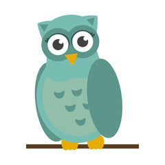 Owl bird cartoon
