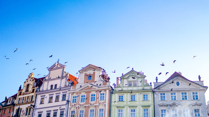 Fototapeta na wymiar A flock of birds passes by the tops of ornate, colorful art nouveau style buildings in the town square of Prague in the Czech Republic (Czechia) under blue skies and pale winter sunlight