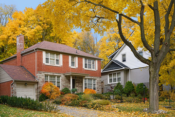 Fototapeta na wymiar Tree lined residential street with fall colors