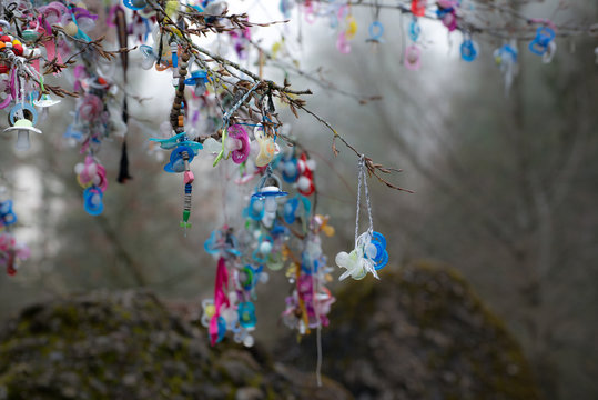 Schnullerbaum