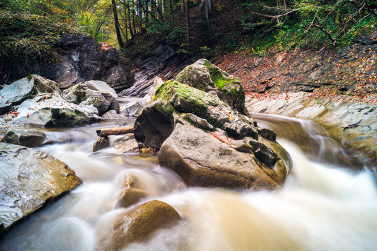 Bach im Herbstwald 4