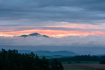 北海道美瑛の風景