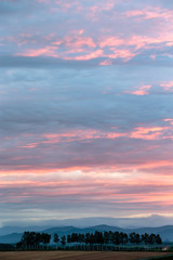 北海道美瑛の風景
