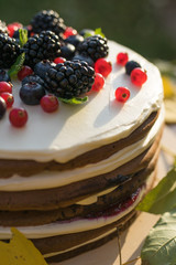Pancake Cake, cake with berries, tasty, sweet dessert