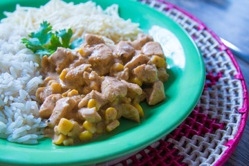 Food dish with chicken strogonoff