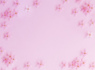 Obraz na płótnie Canvas Little pink flower pattern on pink background