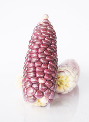 Purple corn isolated on  white background, Healthy food product