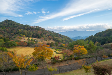 紅葉　徳島県立神山森林公園イルローザの森