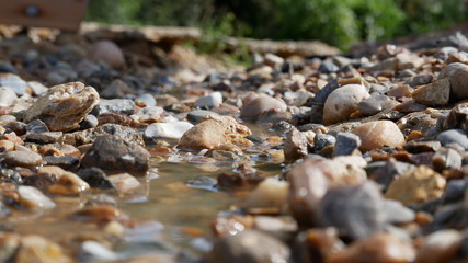 kleiner Bach, Close-Up
