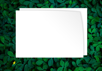 Green leaves background in dark light eco concept image or refreshment concept background, Original...