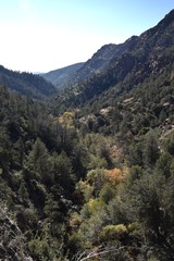 Fototapeta na wymiar Scenic view at Tonto Natural Bridge State Park in Payson Arizona