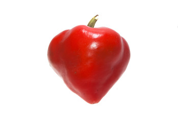 pepper isolated on white background