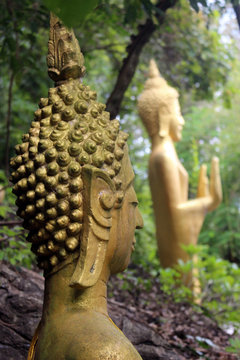 Golden Buddhist statues in the forest on Mount Phusi, Luang Prabang province, Laos.