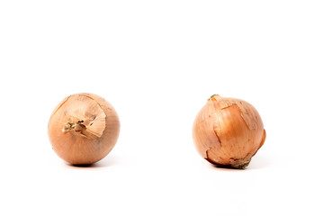 Pair of yellow onions isolated on white background.