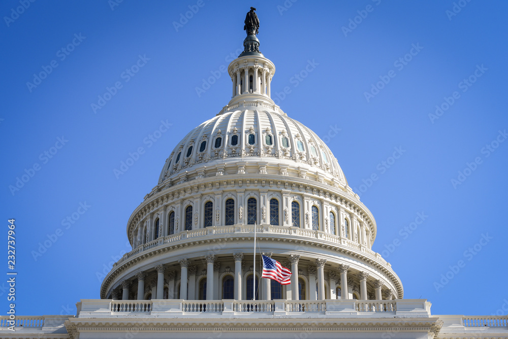 Wall mural US Capitol Building with a flag on a half staff