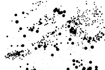Ink grunge drops texture. Black hand drawn splashes and stains on white background.