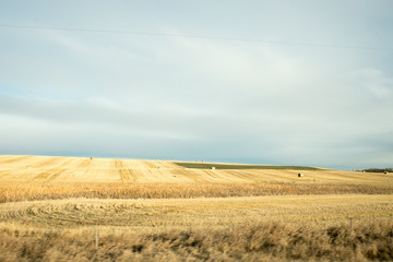 Farm Contrast