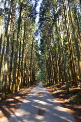 自然と道