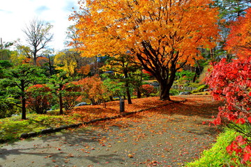 札幌、中島公園の秋の風景