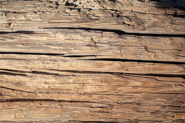 Naklejka na ściany i meble Deeply Weathered Dirty Old Wooden Plank