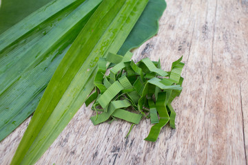 Green Pandanus leaves