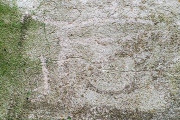 Moss on stone texture