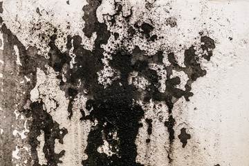 Grunge texture background