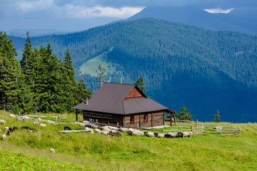 Fototapeta na wymiar Beautiful mountains landscape with green meadow and modern wooden house