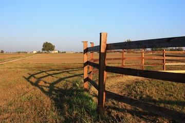 The fence on the farm