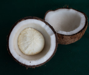 Close up of coconut on green background