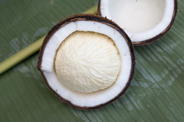 Close up of coconut on green background