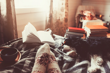 cozy winter day at home with cup of hot tea, book and sleeping dog. Spending weekend in bed,...