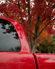 Matching red color of maple foliage and parked pickup truck in Redmond during fall season © Dmitri Kotchetov