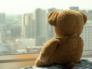 Sad brown teddy bear doll sitting alone on window shield looking outside, feel alone, sad and...