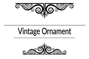 Vintage Ornament, Decorative Frame with Abstract Pattern, Black Contours Isolated on White Background. Vector