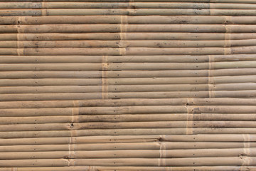bamboo texture background