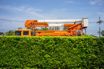 Orange crane basket for lifting personnel to repair electrical equipment behind green wall from small trees.